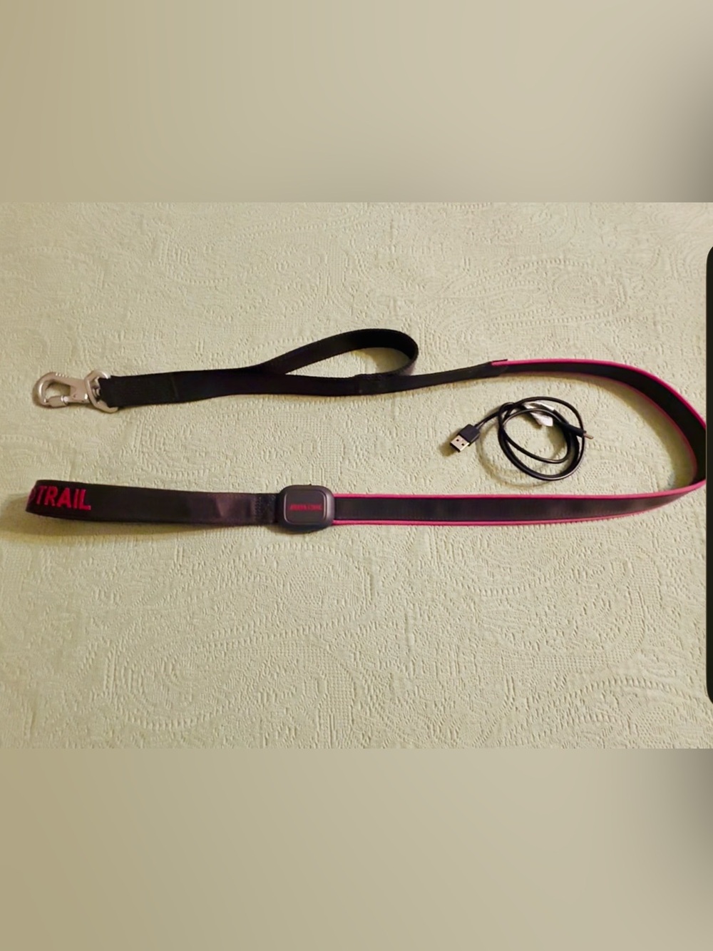 Arcadia Trail light up LED dog leash, rechargeable 3 modes, like new.